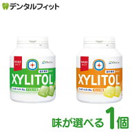 キシリトールガム 歯科専用 オーラルケア 味長続き ボトルタイプ 味長続きタイプ マスカット/オレンジ 1…