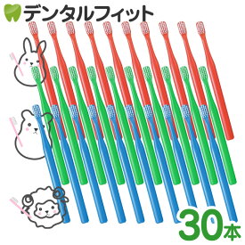 【送料無料】歯ブラシ デンタルコロン 4列 Mふつう 30本 先細 オールテーパー毛 お得 コンパクトヘッド 激安 職場 キャンプ 家族