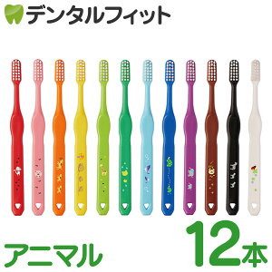 sX nbs[J[ WjA Aj} uV Mӂ 12{(12FA\[g) LA-215 Xg[gnh ݂w ϋv