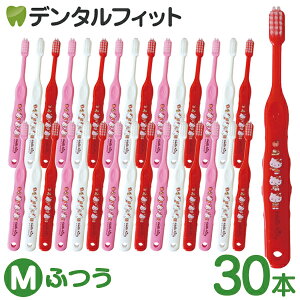 Ci TI502 3FA\[g(LeB) Mӂ 30{yCifBJ uVzi[2_܂Łjy[֑Iőz