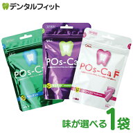 キシリトールガム 歯科専用 ポスカ・エフ(POs-Ca F)パウチタイプ 100g 1袋 歯科専売品 ペパーミント/マス…