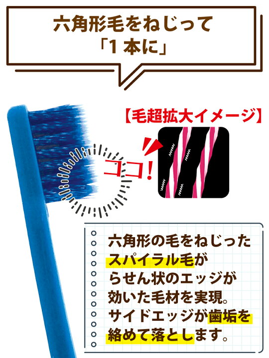 送料無料毛のかたさが選べる Ci PRO PLUS /スパイラル M(ふつう)・スパイラル S(やわらかめ) 50本 プロプラス  スパイラルCiメディカル 歯ブラシ日本製 : 歯科医院専売品のデンタルフィット