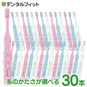 Ci 502 Mӂ or 503 S炩 TI Vi[ 3FA\[g 30{yCifBJ uVzi[2_܂Łj Viy[֑Iőz