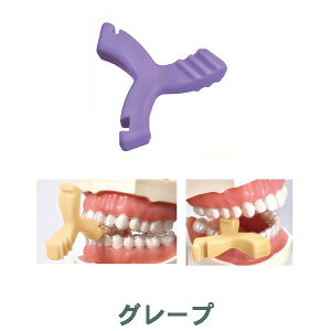 yGg[P5{ 12/4-12/11zACi[Zb^[ ACX^^Cv / }`^^Cv 10pbN yȐꔄi ACi[`[C[ g[V[^[ }EXs[X CrUC 