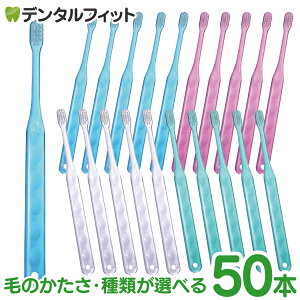 y|Cg5{ 11/1 0:00-23:59zCi AVXg tbg/ז+tbg Mӂ/S炩/SS炩 50{