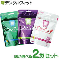 キシリトールガム 歯科専用 ポスカ・エフ(POs-Ca F)パウチタイプ 100g 2袋 歯科専売品 ペパーミント/マス…