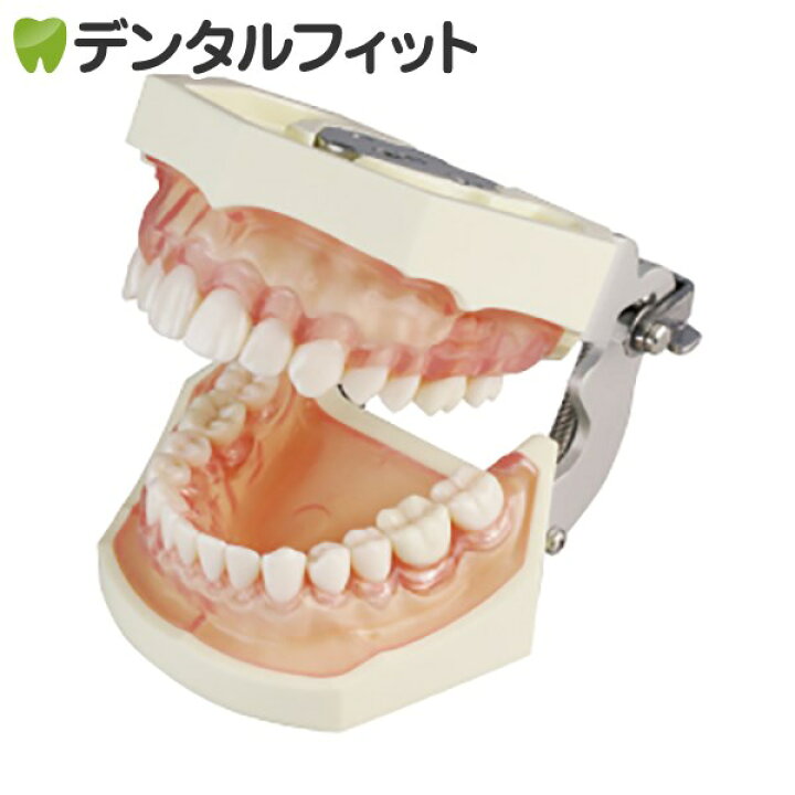 楽天市場】【☆ポイント5倍 3/29 0:00-3/30 23:59】【送料無料】SRP用 