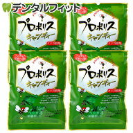 森川健康堂 プロポリスキャンディ 4袋(100g/袋)（メール便1点まで）【メール便選択で送料無料】