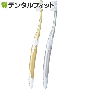 y|Cg5{ 11/1 0:00-23:59zGC ruscello VF W-10 uV 2{Zbgip[S[h1{Ap[zCg1{ji[5_܂Łjy[֑Iőz