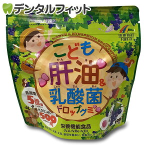 y|Cg5{ 11/1 0:00-23:59zǂ̖_ۃhbvO~ 100 j}bgP