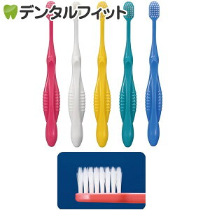 Ci 800 +Eh / Mӂ / 50{yCifBJ uVz