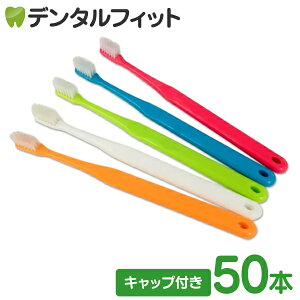 XChLbvt / Ci 703 ɔwbh / MS炩 / 50{ Ȑꔄ uV