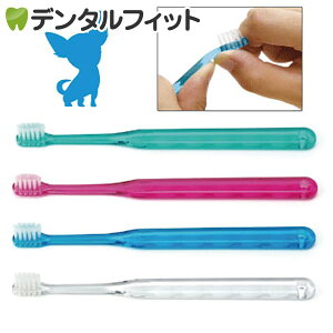 p uV / Ci V iJ[FsN̂݁j/ 1{