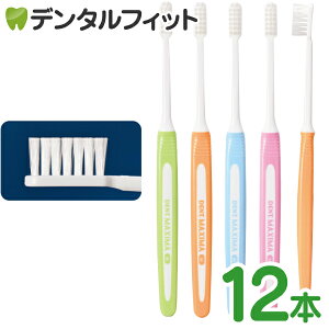 CI DENT. MAXIMA-}LV}-^Mӂ^12{