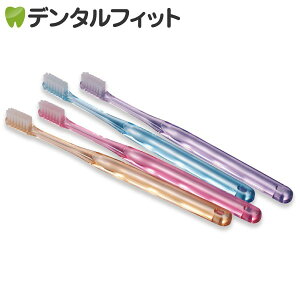 Ci PROAD / SS(炩) / 5{yCifBJ uVz