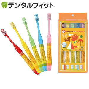 NpXnuV ꔠ(5{Zbg)([3܂)y[֑Iőz  LOi j w j O Mtg  ۈ牀