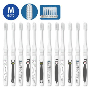 yGg[ƓX3_wP10{(11/20 20:00-11/27 1:59)zCiG[g nEB 1(12{Zbg) 4A\[g Mӂ/S炩 yCifBJ Ȑꔄi I[e[p[ XNGAn