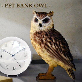 ペットバンク オウル / PET BANK OWL [フクロウ置物 貯金箱 フクロウ ふくろう トラフズク ミミズク フクロウ雑貨 ふくろうグッズ オブジェ 置物 動物 かわいい] 【あす楽対応】