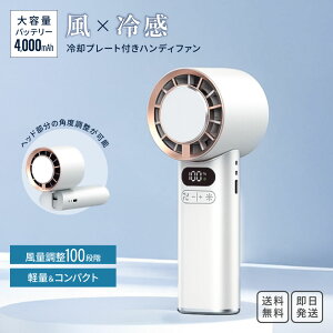 pv[gtnfBt@ 100iK eʃobe[4000mAh y RpNg nfB ^ |[^u @ 4way