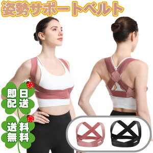 背中 サポーター サポーターの人気商品 通販 価格比較 価格 Com