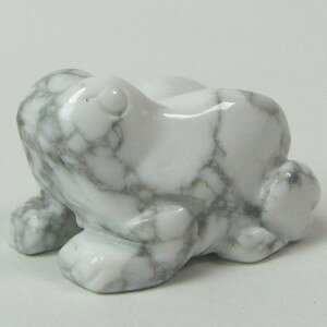 p[Xg[ zCgnECg JGi~jTCYj