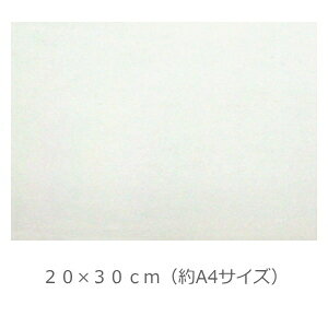 yzV[g(V[^Cvj20cm×30cmiA4TCYj