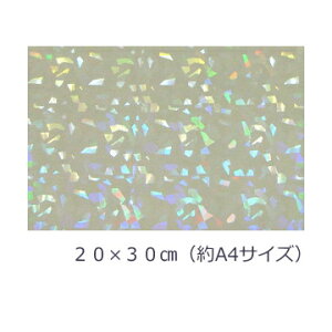 yzzOV[g NX^20cm×30cmiA4TCYj