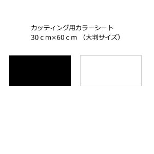 JbeBOp J[V[g(V[^Cv) 30cm×60cm(唻TCYj