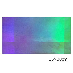 �y���������z�z���O�����V�[�g �I�[�����t�B���� 15cm×30cm(�V���o�[)(�S������)