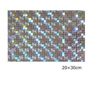 yzzOV[g }CNXNGA[(Vo[)20cm×30cm(A4TCY)