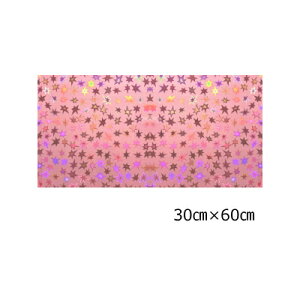 zOV[g X^[ xr[sN30cm×60cm(唻TCY)yzOV[z