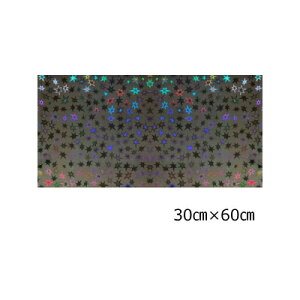 zOV[g X^[ ubN30cm×60cm(唻TCY)yzOV[z