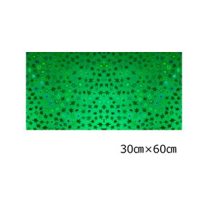 zOV[g X^[ O[30cm×60cm(唻TCY)yzOV[z