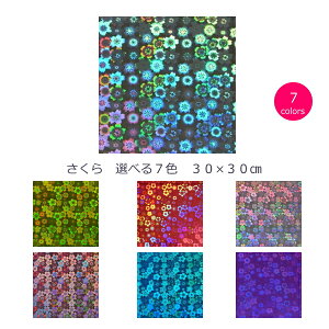 zOV[g  (V[^Cv)30cm×30cm