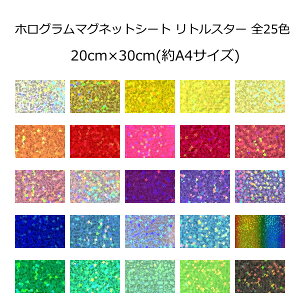 }OlbgV[g zO gX^[(C^Cv) 20cm×30cm(A4TCY) Iׂ25F