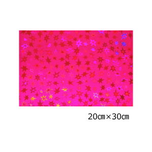 zOV[g X^[ }[^sN20cm×30cm(A4TCY)yzOV[z