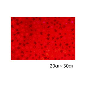 zOV[g X^[ bh20cm×30cm(A4TCY)yzOV[z