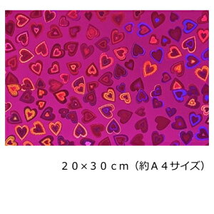 zOV[g n[g `F[sN20cm×30cm(A4TCY)