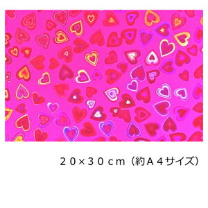 zOV[g n[g }[^sN20cm×30cm(A4TCY) uV[g