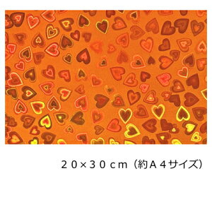 zOV[g n[g IW20cm×30cm(A4TCY)