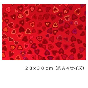 zOV[g n[g bh20cm×30cm(A4TCY)