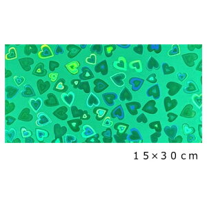 zOV[g n[g GhO[15cm×30cm