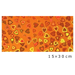 zOV[g n[g IW15cm×30cm