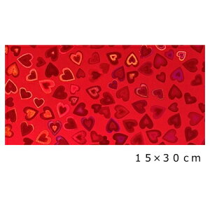 zOV[g n[g bh15cm×30cm