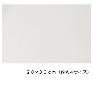 ˃V[g P~J JbeBOV[g CL-167 ˍ zCg(V[^Cv) 20cm×30cm(A4TCY)