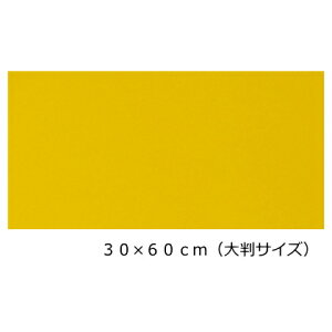 ˃V[g P~J JbeBOV[gCL-163 ˍ CG[(V[^Cv) 30cm×60cm(唻TCY)