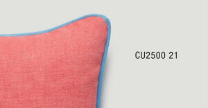 �p�C�s���O�N�b�V�����J�o�[�y40×40cm�z�@�A�v���R�b�g×�u���[�@CU2500-21
