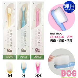 yVg̉HuV20000ziv`iimqj DEOEG  _炩 ӂӂ