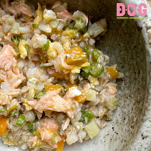 yBONErupa@݂сFƊĈGz ͂ Y Y F Ⓚ {p