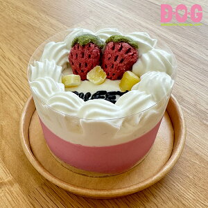 yBONErupa@SweetmusseCakez P[L Y Y F Ⓚ {p